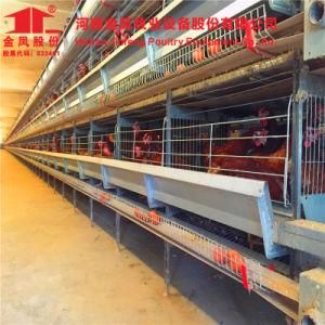 H Tipo Jaulas Ponedoras PARA Mercado Latinoamericano/Chicken Cage
