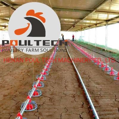 Automated Chick and Broiler Ing Equraisipment
