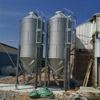 Philippines Design Poultry Equipment for Broiler Feeding System