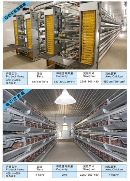 Automatic Chicken Equipment H Type Layer Cage