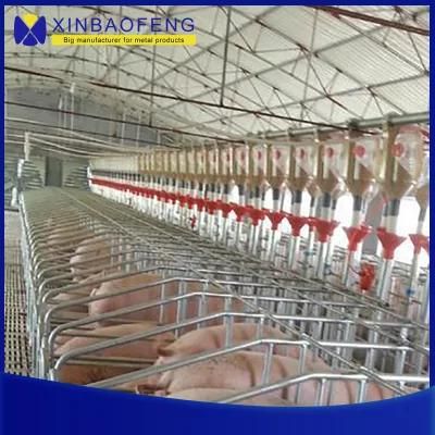 Pig Farm Single Sow Farrowing Crate Pregnancy Stall