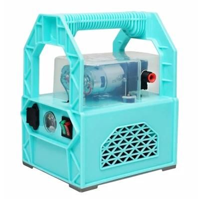 Plantmate /Lamsin Portable Electric Battery Sprayer with Double Pump