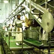 Halal Sheep Slaughter Line with Butcher Goat Abattoir Machinery