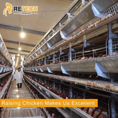 Good Price Automatic Poultry Farm Shed Equipment Laying Chicken Cage for Sale