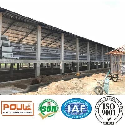 Hot Galvanized Layer Cages for Poultry Farm
