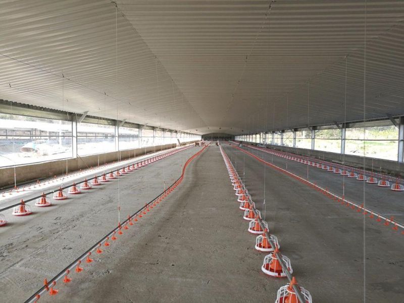 Fixed-Type Plate Broiler Raising Equipment