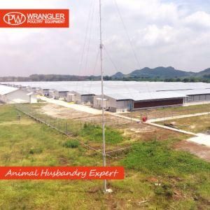 Complete Poultry Housing Project Ground Raising Equipment