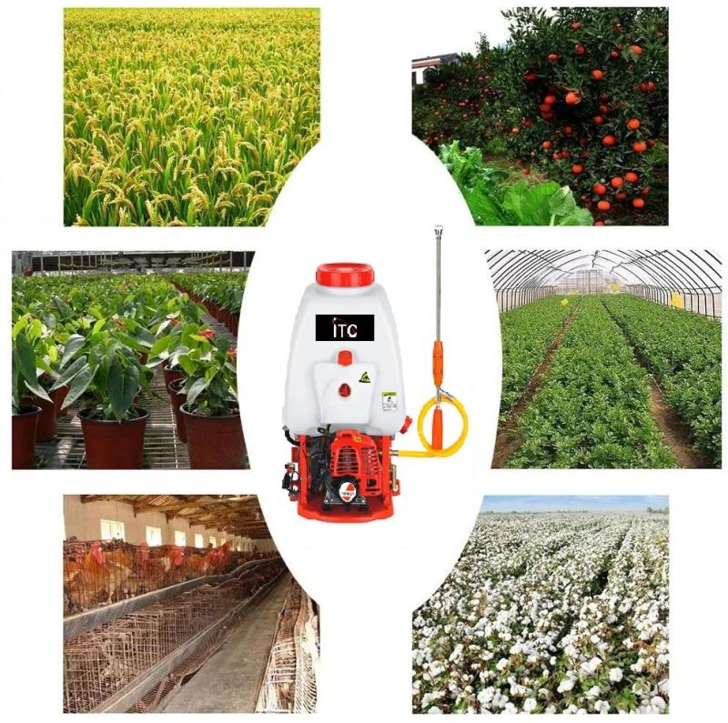 5.0HP Super Professional Agricultural/Farm/Garden Petrol Sprayer/Spraying Machine-Power Tools