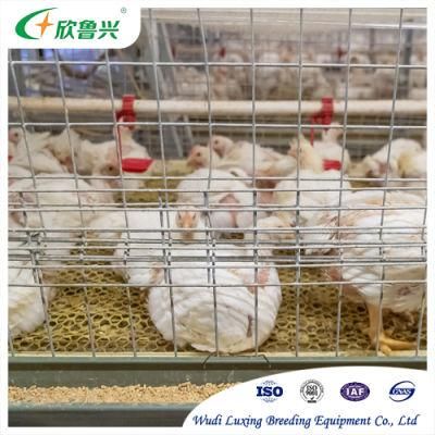 H Type Chicken Cage Poultry Raising Cages for Keeping Broiler Layers