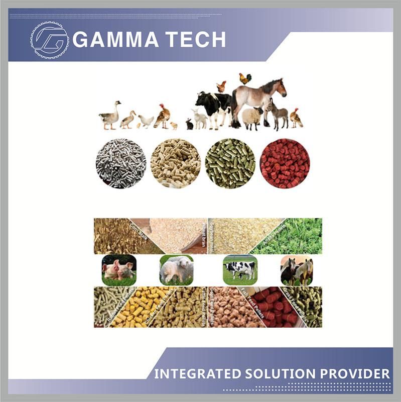 1-2t/H Stainless Steel Chicken Livestock Cattle Pig Fish Poultry Feed Pellet Making Machine