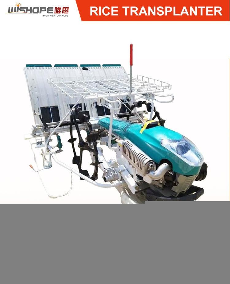 Kubota Similar 4 Row Walking Behind Rice Transplanter for Agriculture