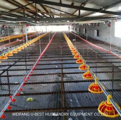 UAE Poultry Farm Equipment for Sale in Bangladesh/Srilanka