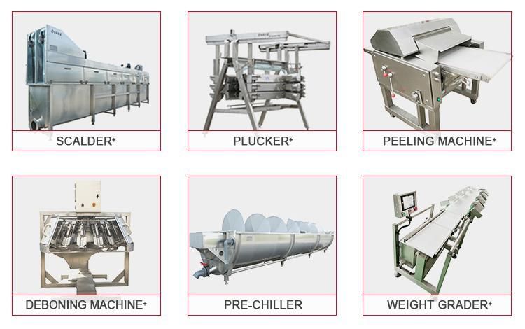 Modern Poultry Processing Plant Chicken Processing Machines