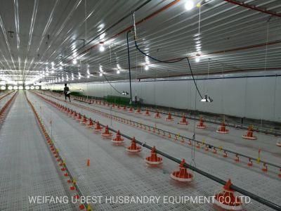 Low Cost Steel Structure Chicken House for Poultry Farm in Malaysia