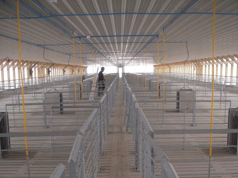 Factory Made Fattening Crate for Pig