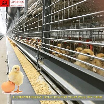Standard Packing Large Scale Dairy Machine Pullet Layer Chicken Cage