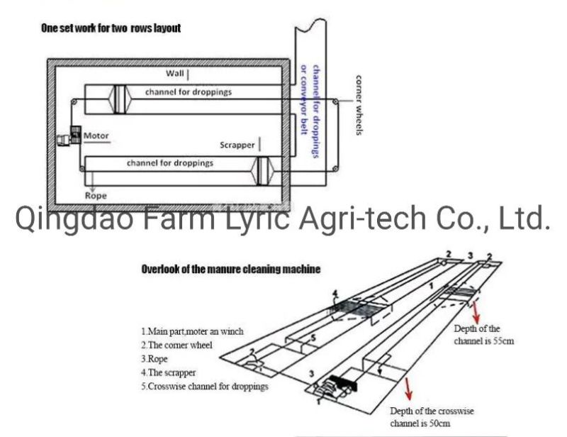 Factory Direct Selling/Automatic Manure Cleaning Machine Complete Set of Equipment