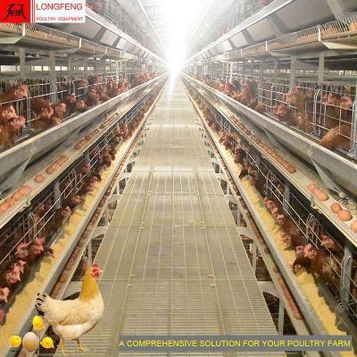 Local After-Sale Service in Asia Layer Battery Cage Chicken Automatic Feeding Line