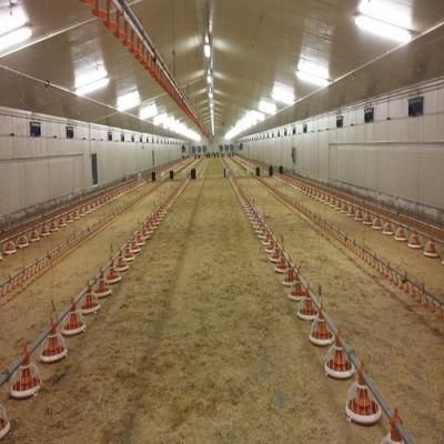 Automatic Broiler Chicken Farm Equipment Poultry From China Supplier