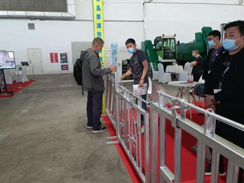 Hot-DIP Galvanized Cow Cubicles Cow Cattle Free Stall for Dairy Farm Equipment