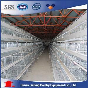 Hot Sales Layer Cage Hot Galvanized 30 Year&prime;s Lifetime