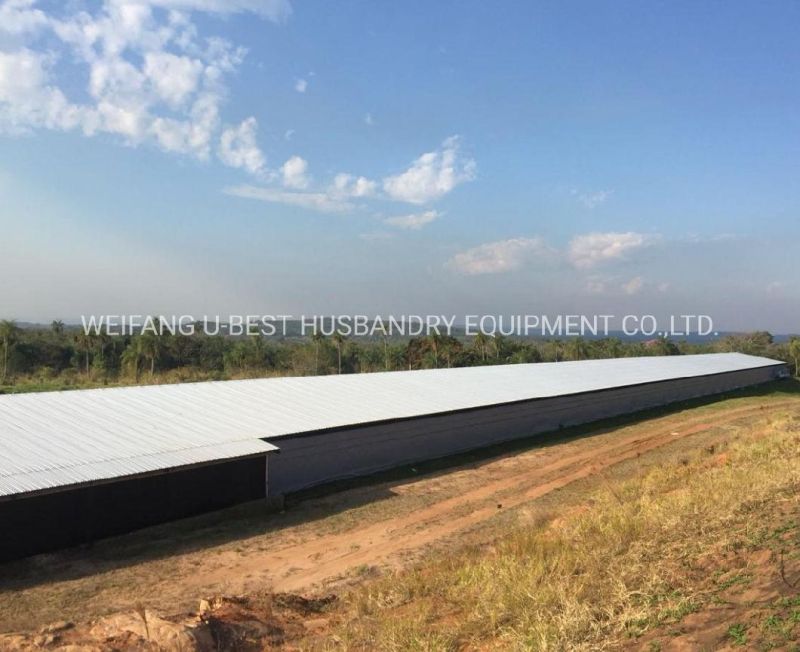 Poultry House Slatted Flooring System with Automatic Feeding and Drinking for Breeders