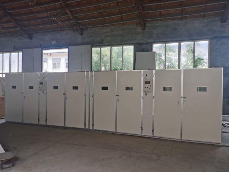 Unique Patented Incubator of Xinguangzheng Designed Equipment