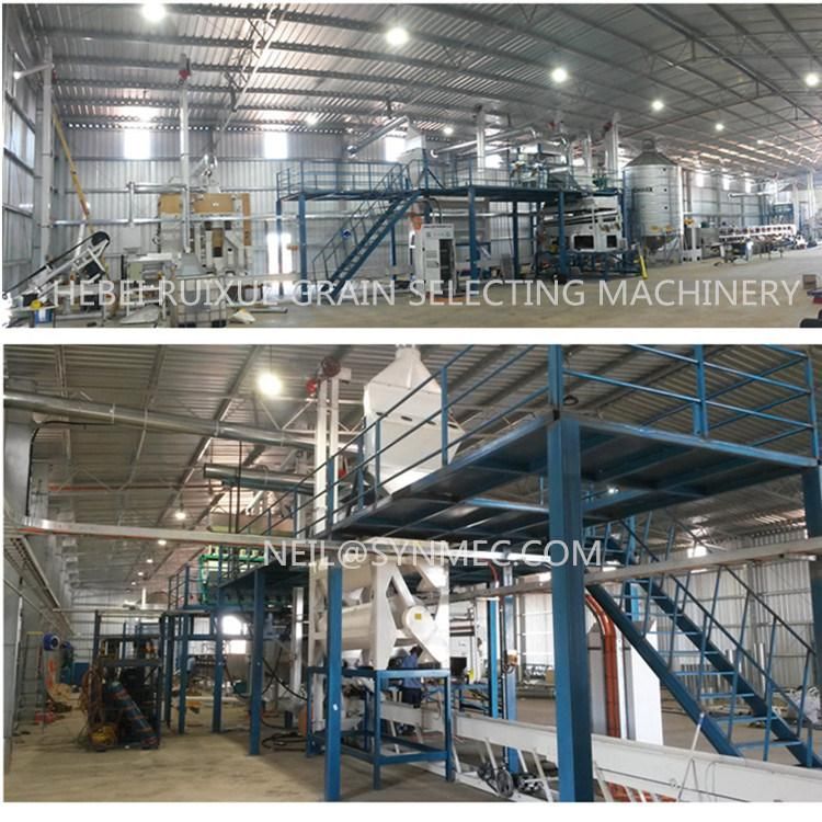 Hot Sale Bean Sesame Seed Cleaning Plant (5XZC-5X)