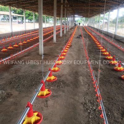 Automatic Plasson Chicken Feeder for Poultry Farm