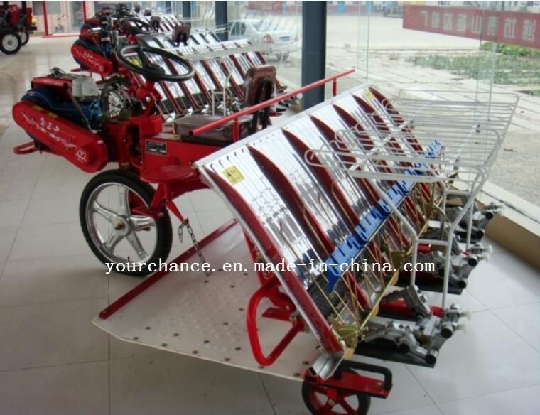 High Quality 2z-6300 6 Rows 300mm Rows Width Ride Type Rice Transplanter for Sale