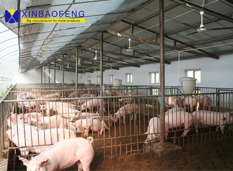 Livestock Farming Automatic Equipment Dry and Wet Pig Feeder