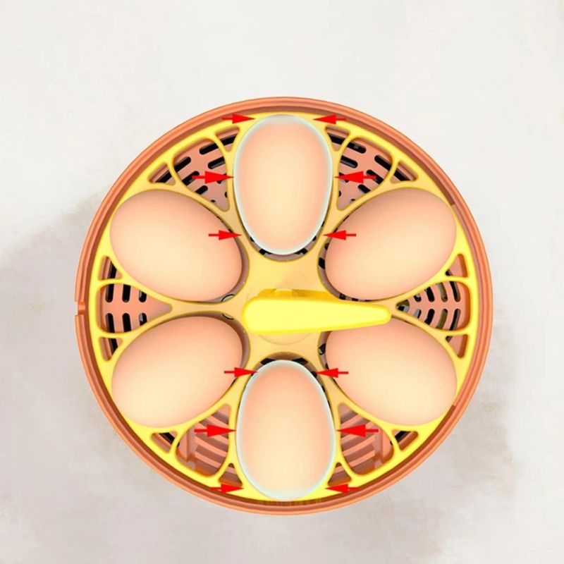 Automatic Eggs Turning Temperature Control 6 Eggs Children Experimental Eggs Incubator Chicken Incubator Eggs Hatching Machine