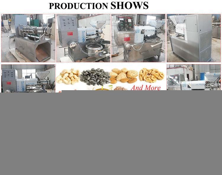 Hot Sale Screw Presser Olive Soybean Sunflower Pressing Peanut Oil Press Machine