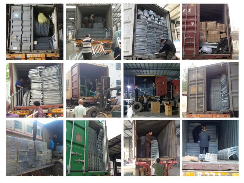 Chicken Rearing Equipment Automatic H Type Broiler Breeding Cage for Poultry Battery Farming