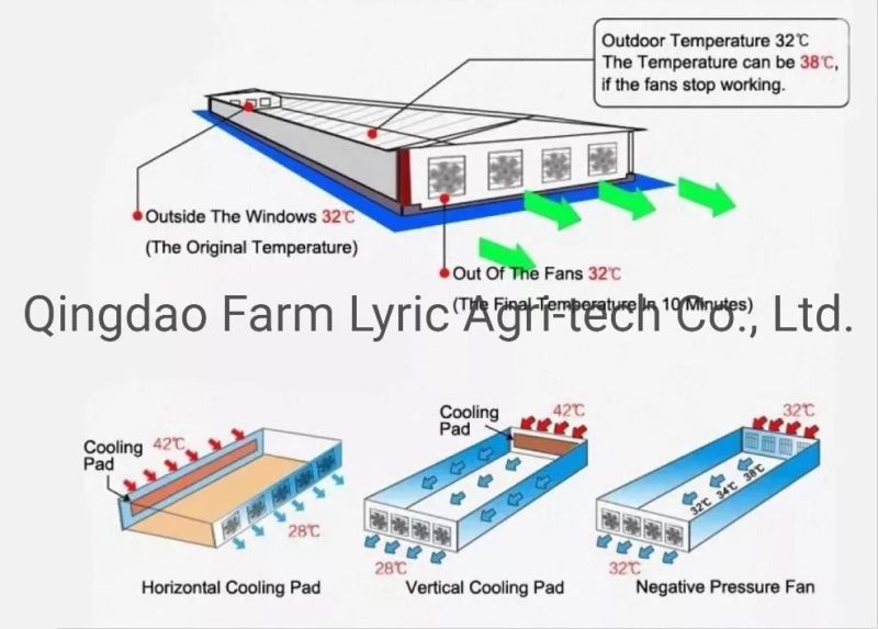 Poultry House Manure Cleaning Equipment/Automatic Manure Scraper