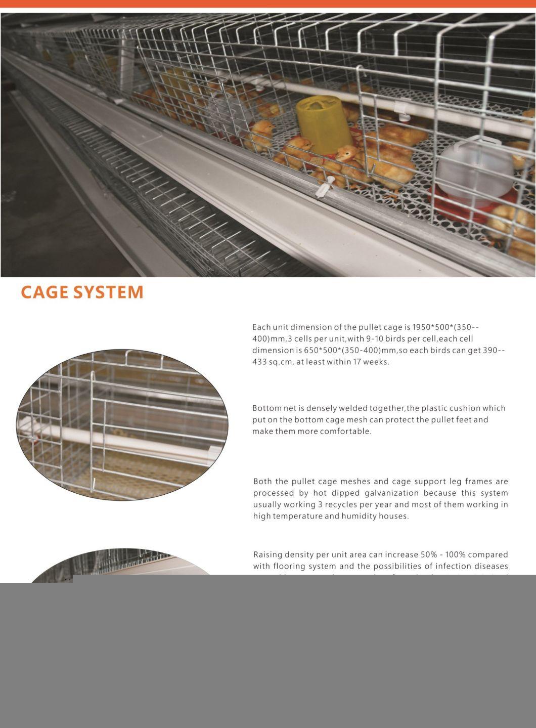 Chicken Cage Layer Poultry Farm