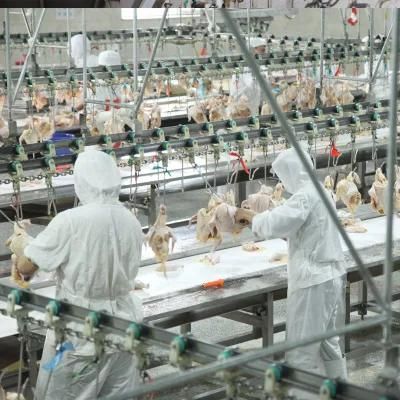 Poultry Slaughter Processing Equipment 10000bph Chicken Processing Equipment