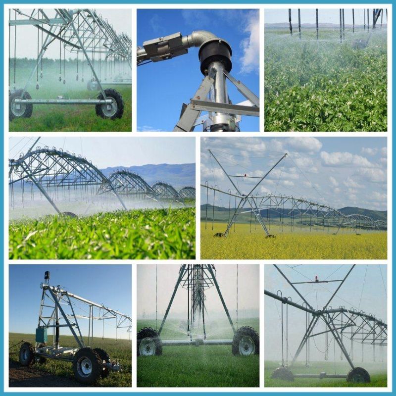 Center Pivot Irrigation System with Linear Farm Equipment Used for Grassland