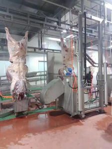 Factory-Direct Supply Stainless Steel Beef Tripe Cleaning Washing Machine