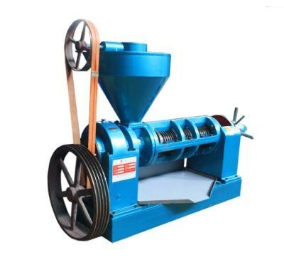 Automatic Sesame Oil Expeller Cotton Seeds Screw Oil Press Machinery Factory (YZYX10-4)