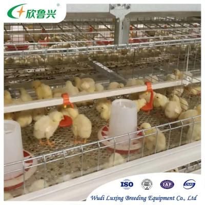 Design Layer Broiler Chicken Cages for Kenya Chicken Poultry Farm