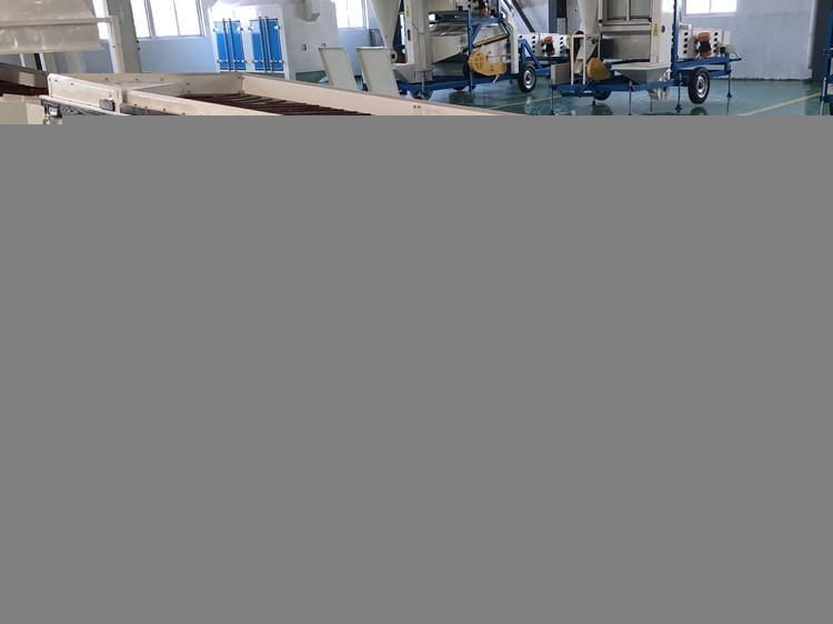 Gravity Beans Pulses Sunflower Seed Separator