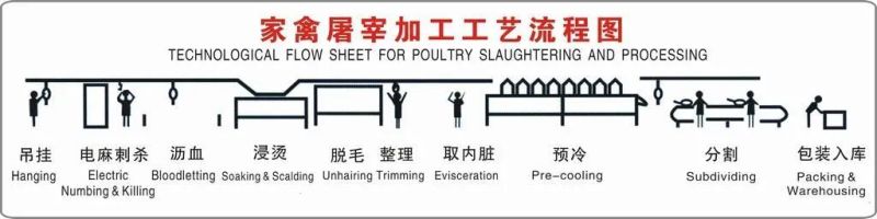 Cage Washer for Poultry Slaughter House