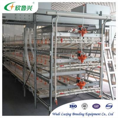 Automatic Poultry Equipment Broiler Layer Breeder Cages with Feeding Drinking Manurel Cleaning for Chicken Shed