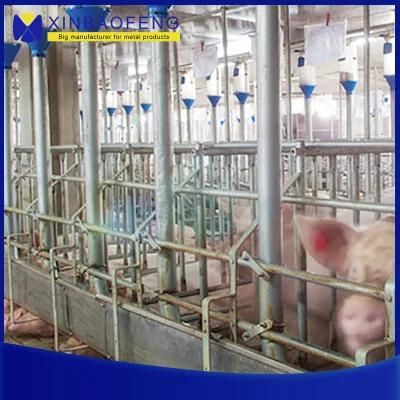 High Quality Pig Farming Equipment Sow Used Designed Pig Farrowing Stall