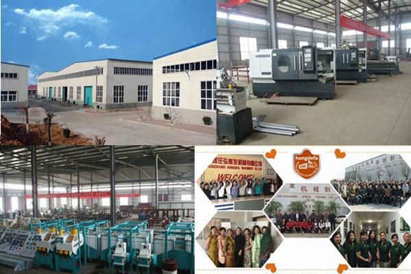 20tpd Corn Flour Milling Plant in Congo