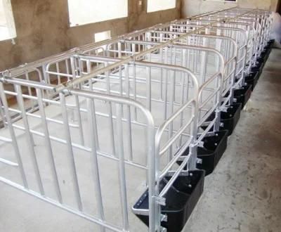 New Design Pigs Gestation Crate for Sows Gestation Stalls Animal Cages