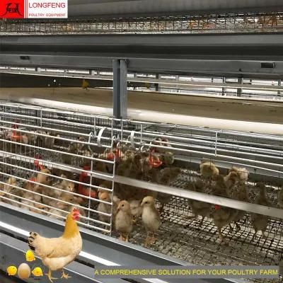 Low Price Stable Running Dosing Medicine and Spray Disinfection Poultry Farm Equipment