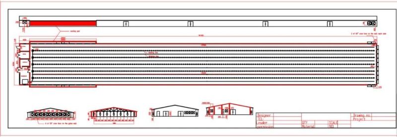 2021 Hot Sale Low Price Automatic Broiler Feed Equipment on Poultry Farm