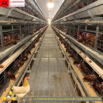 Automatic Farming Equipment Fans and Cooling Pad Farm Chicken Cage Egg Poultry Production